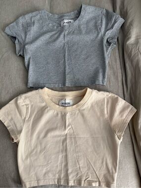 LaVoute Cropped Crewneck Tee - Gray & Cream